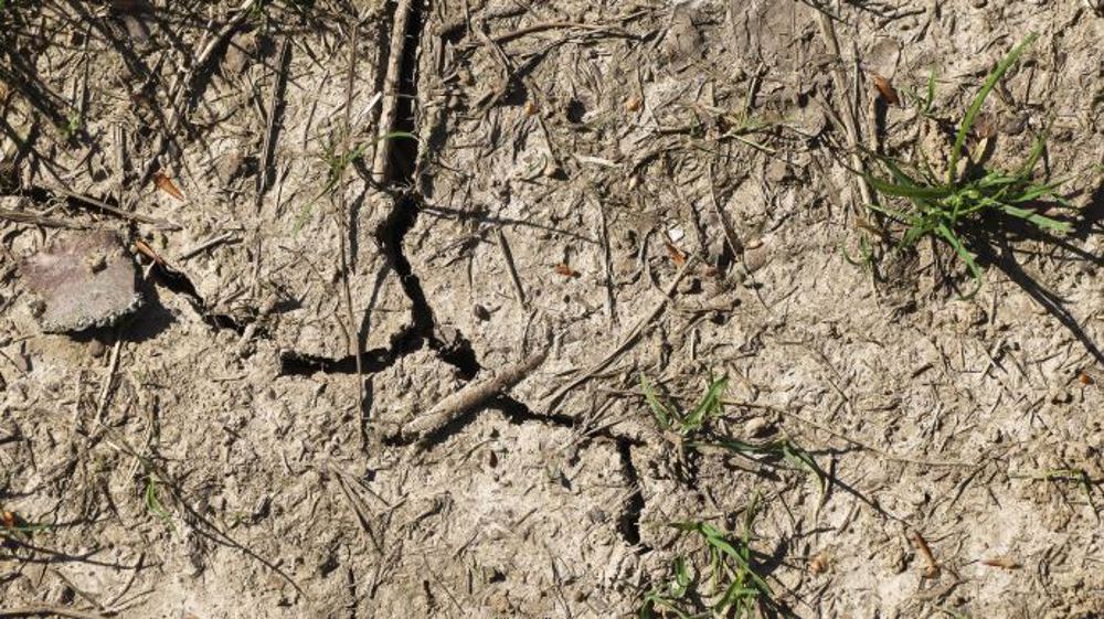 Le ministre de l'agriculture a étendu les dérogations concernant la sécheresse à de nouveaux départements, le 12 août. (©Terre-net Média)