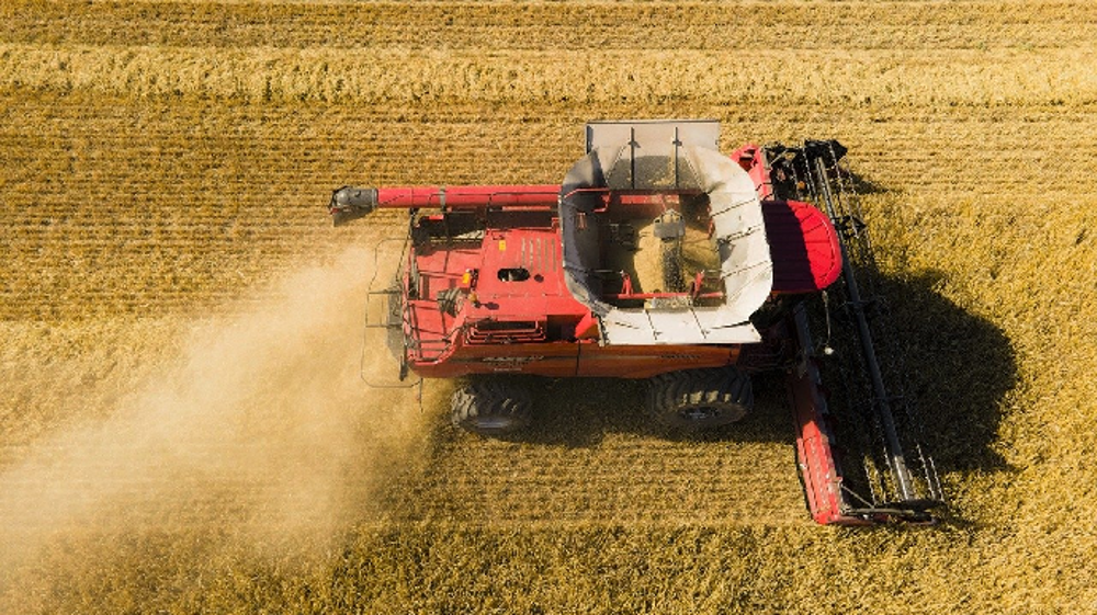 L'USDA table désormais sur une récolte européenne de blé de 135,5 millions de tonnes. (©Pixabay)