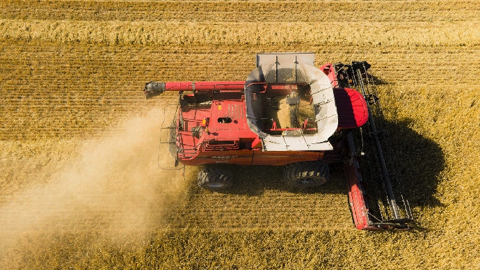 L'USDA table désormais sur une récolte européenne de blé de 135,5 millions de tonnes. (©Pixabay)