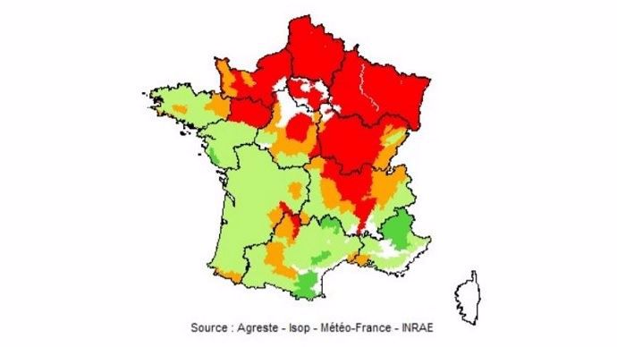 Pousse herbe 20 août 2020