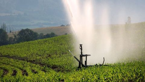 Irrigation d’un champ de maïs dans la vallée de la Méouge (Drôme). (©C. Tailleux)