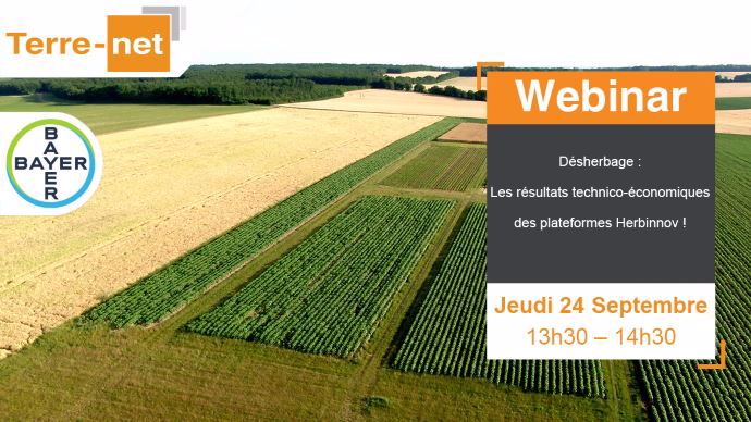 Webinaire Culture champs