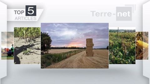 Top articles de Terre-net cette semaine. (©Terre-net Média)