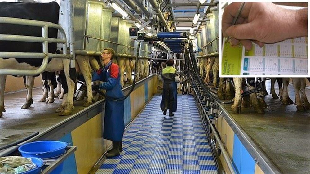 Alléger la charge de travail et l'astreinte sans gréver son budget : pourquoi pas partager un salarié avec un autre agriculteur ? (©Terre-net Média) Alléger la charge de travail et l'astreinte sans gréver son budget : pourquoi pas partager un salarié avec un autre agriculteur ? (©Terre-net Média)