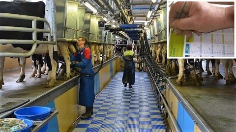 Alléger la charge de travail et l'astreinte sans gréver son budget : pourquoi pas partager un salarié avec un autre agriculteur ? (©Terre-net Média) Alléger la charge de travail et l'astreinte sans gréver son budget : pourquoi pas partager un salarié avec un autre agriculteur ? (©Terre-net Média)