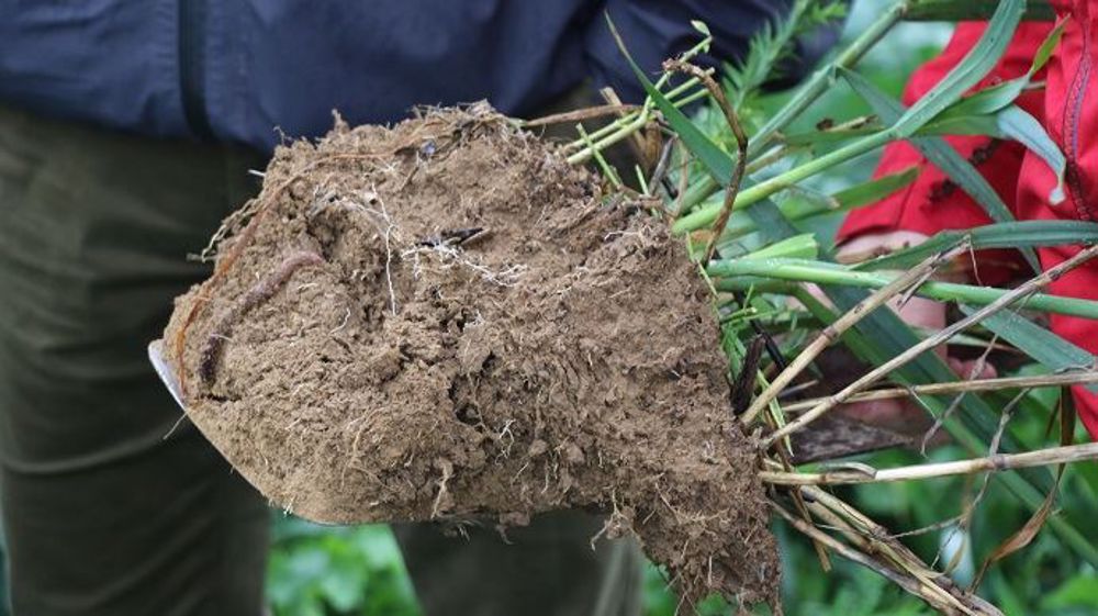 « Les sols vivants sont en mesure de répondre à l’enjeu majeur du réchauffement climatique », déclare Soil Capital. (©Terre-net Média)