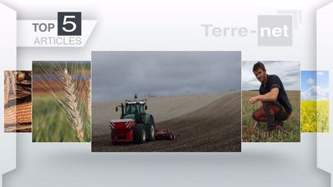 Top articles de Terre-net cette semaine. (©Terre-net Média)