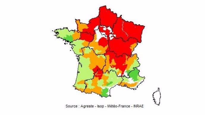 Pousse de l'herbe septembre 2020