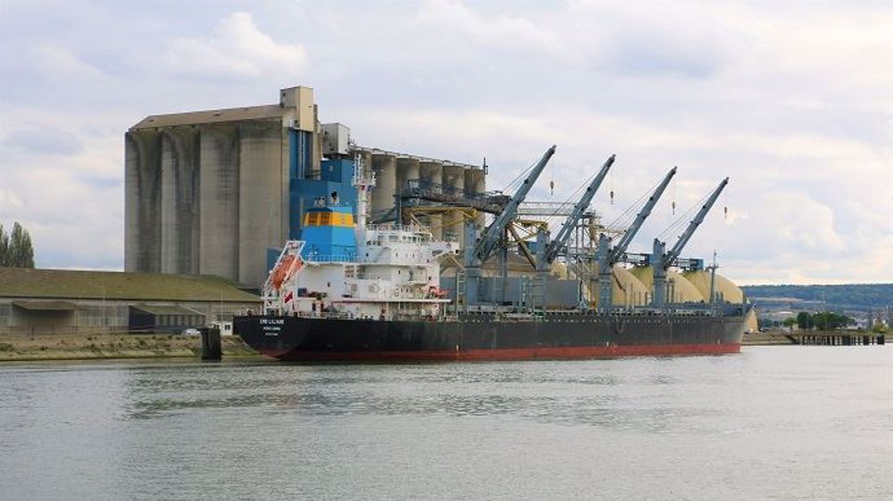 L'Ukraine a déjà expédié « près de la moitié de son disponible export » en blé, selon Agritel.(©Terre-net Média)