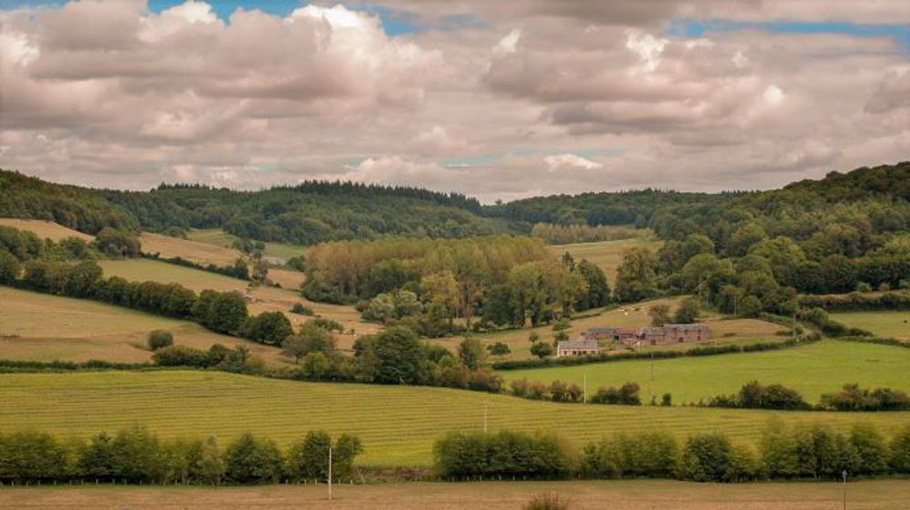 Les PSE apparaissent comme un levier important pour faciliter l'adoption de pratiques agricoles écologiquement plus vertueuses. (©Pixabay)