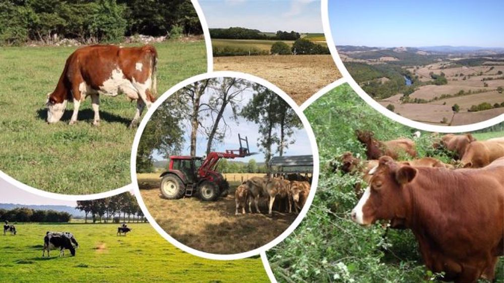 Comment s'adapter face à la sécheresse ? (©Pixabay - Terre-net Média)