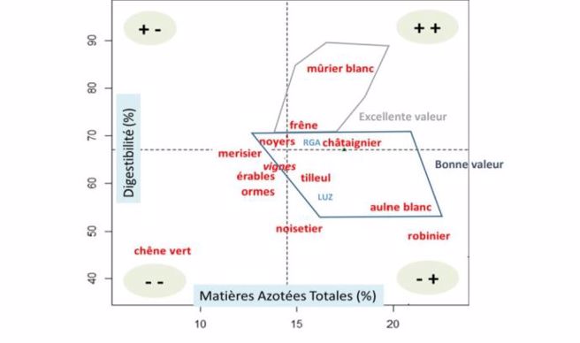 Valeurs alimentaires des arbres fourragers
