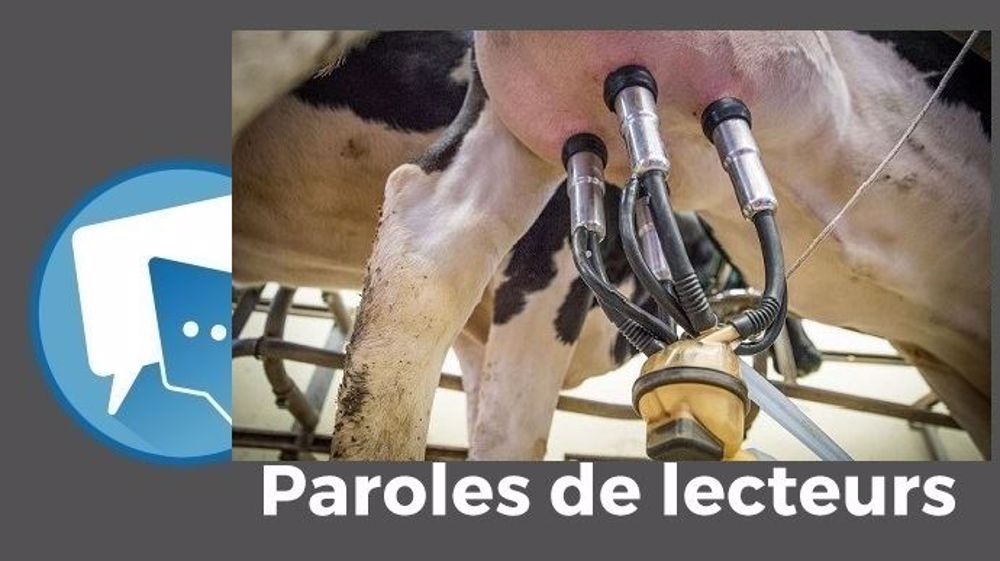  « Un taux de cellules élevé dans le lait n'est pas forcément lié à de mauvaises pratiques de la part de l'éleveur », tient à rappeler steph72. (©CC // Création Terre-net Média)