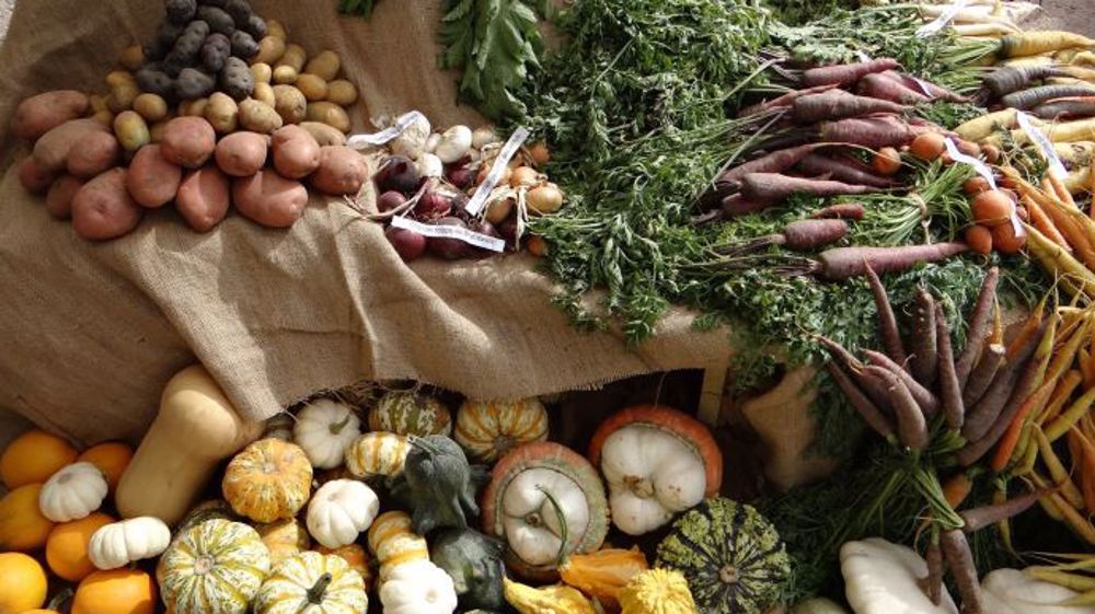 Les marchés pourront rester ouverts pendant le reconfinement.(©Pixabay)