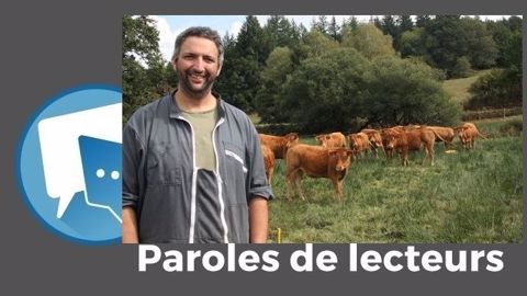 « Comme je n'épuise pas l'herbe par un surpâturage, elle pousse », fait remarquer Julien Mermon. (©Émilie Durand // Création Terre-net Média) « Comme je n'épuise pas l'herbe par un surpâturage, elle pousse », fait remarquer Julien Mermon. (©Émilie Durand // Création Terre-net Média)