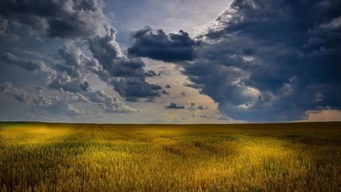 Que les pluies arrivent ou s'éloignent, l'horizon s'éclaircit pour la récolte de blé en Amérique du Sud, de même que pour les semis en France, en Russie et aux États-Unis. (©Pixabay) Que les pluies arrivent ou s'éloignent, l'horizon s'éclaircit pour la récolte de blé en Amérique du Sud, de même que pour les semis en France, en Russie et aux États-Unis. (©Pixabay)