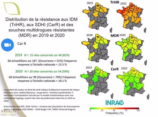 Distribution de la résistance aux IDM, aux SDHI et des souches multidrogues en 2019 et 2020