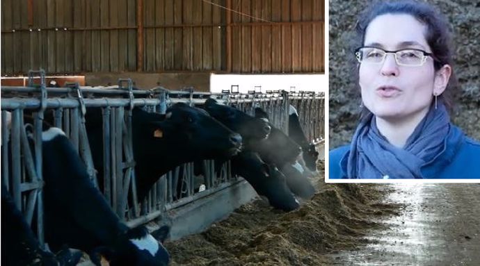 irene lecossais eleveuse seine maritime