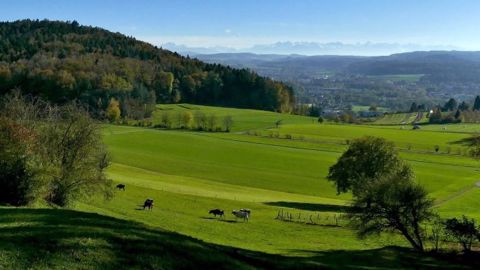 Pour augmenter la contribution de l'agriculture à la biodiversité, des politiques publiques adaptées et le soutien du consommateur seront nécessaires. (©Pixabay)