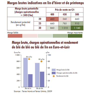 Atouts économiques du lin oléagineux