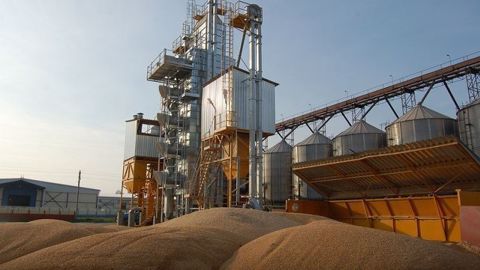 L'Union européenne exporterait en 2020 6,85 Mt de blé et 4,3 Mt de maïs. (©Terre-net Média)