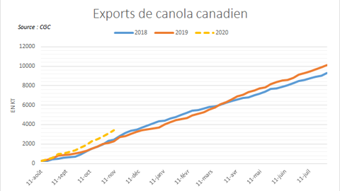 Exports de canola canadien