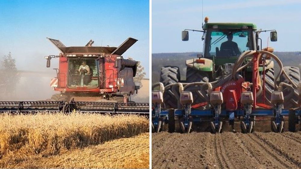 Moindre récolte de blé et semis de maïs à l'arrêt : la double peine de l'Argentine. (©Terre-net Média)