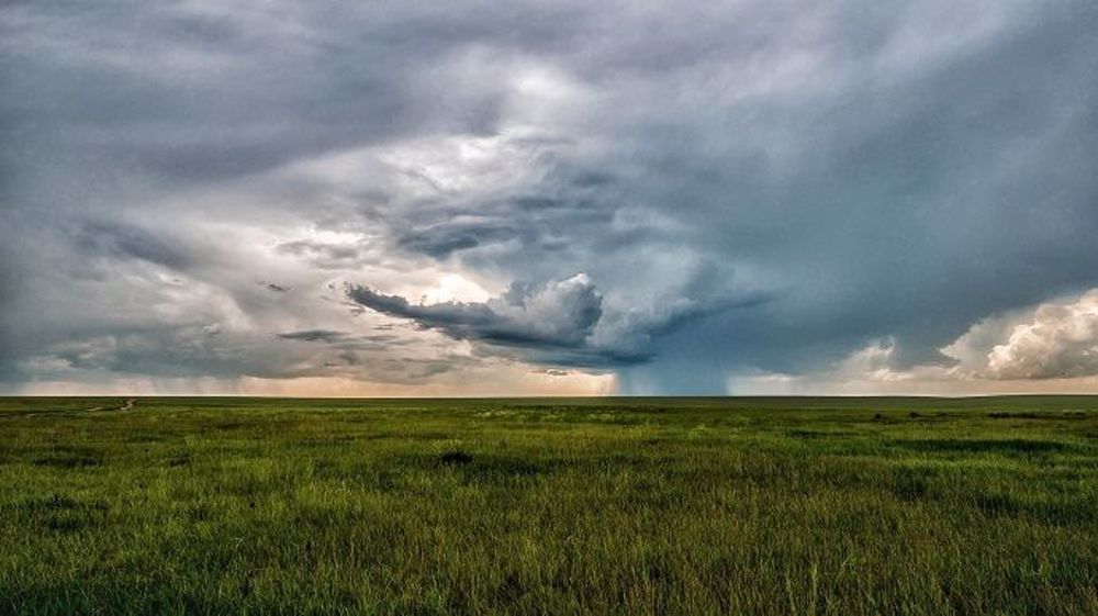 Des pluies améliorent les conditions de cultures dans l'hémisphère Nord. (©Pixabay)