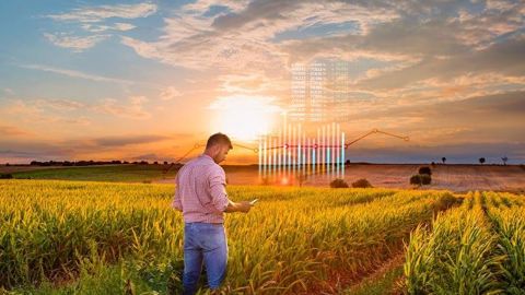 La gestion des pneus pèse dans la rentabilité d’une entreprise agricole, plus qu’on ne pourrait le croire. (©Shutterstock)