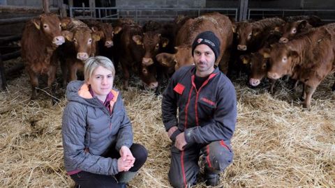 L’élevage de veaux de lait sous la mère représente 50 % du chiffre d’affaires de l’exploitation de Samuel et Élodie Gasse, qui produisent en parallèle 400 veaux de boucherie. (©Terre-net Média) L’élevage de veaux de lait sous la mère représente 50 % du chiffre d’affaires de l’exploitation de Samuel et Élodie Gasse, qui produisent en parallèle 400 veaux de boucherie. (©Terre-net Média)