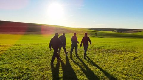 Les experts <a href="https://www.agro-league.com/" title="AgroLeague" target="_blank">AgroLeague</a> à votre écoute pour aller vers le déplafonnement des rendements en céréales d'hiver avec Terre-net. (©AgroLeague)