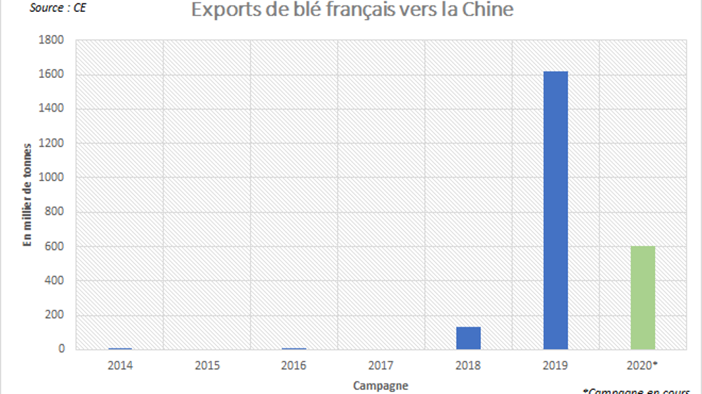 La Chine privilégie désormais le blé français.