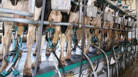 L'installation de traite a des impacts techniques et économiques sur l'élevage. Avec une durée de vie dépassant souvent les 15 ans, son choix doit être murement réfléchi. (©Terre-net Média) L'installation de traite a des impacts techniques et économiques sur l'élevage. Avec une durée de vie dépassant souvent les 15 ans, son choix doit être murement réfléchi. (©Terre-net Média)