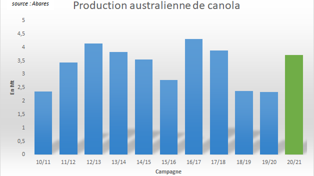 Production australienne de canola.