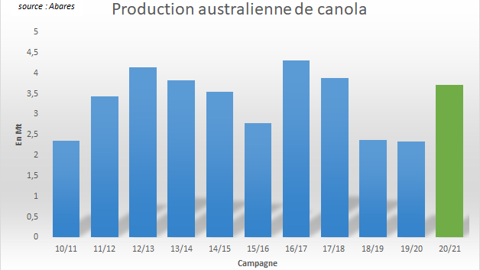 Production australienne de canola.