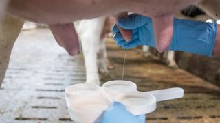Problèmes cellulaires : la check-list des points de contrôle Problèmes cellulaires : la check-list des points de contrôle