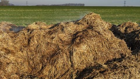 Après deux mois de maturation, le fumier peut être stocké au champ sans aucun risque de lixiviation de l'azote. (©CC) Après deux mois de maturation, le fumier peut être stocké au champ sans aucun risque de lixiviation de l'azote. (©CC)