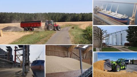 Chaîne logistique de la filière céréalière. (©Terre-net Média)