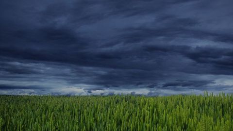 Le climat a été cité comme responsable de difficultés économiques importantes pour 66 % des agriculteurs. (©Pixabay)