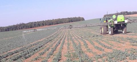 Terres Inovia dresse un premier bilan de son essai de pulvérisation ciblée sur adventices détectées par drone dans des parcelles de colza. (©Terres Inovia) Terres Inovia dresse un premier bilan de son essai de pulvérisation ciblée sur adventices détectées par drone dans des parcelles de colza. (©Terres Inovia)