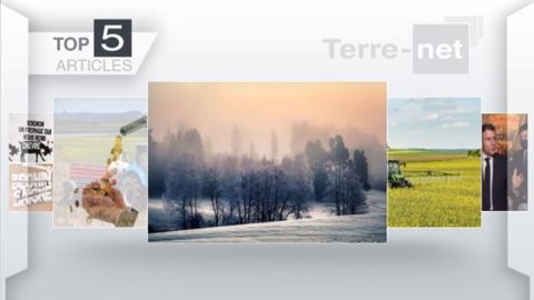 Articles les plus lus sur Terre-net cette semaine. (©Terre-net Média) Articles les plus lus sur Terre-net cette semaine. (©Terre-net Média)