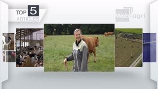 Articles les plus lus sur Web-agri cette semaine. (©Terre-net Média) Articles les plus lus sur Web-agri cette semaine. (©Terre-net Média)