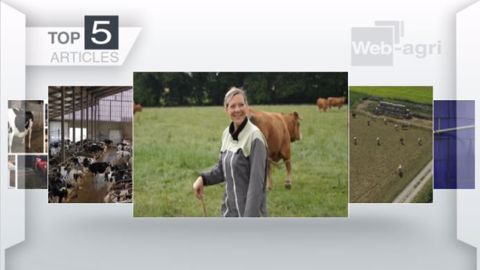 Articles les plus lus sur Web-agri cette semaine. (©Terre-net Média) Articles les plus lus sur Web-agri cette semaine. (©Terre-net Média)