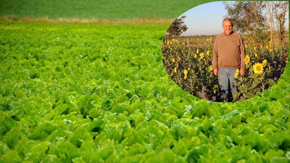 Agriculteur dans l'Oise, Alain Van de Kerckhove a donné son avis pour la consultation publique ouverte depuis le 4 janvier et jusqu'au 25 janvier 2021 (minuit) inclus et a choisi de le faire partager aux lecteurs de Terre-net. (©Pixabay/Alain Van de Kerckhove)