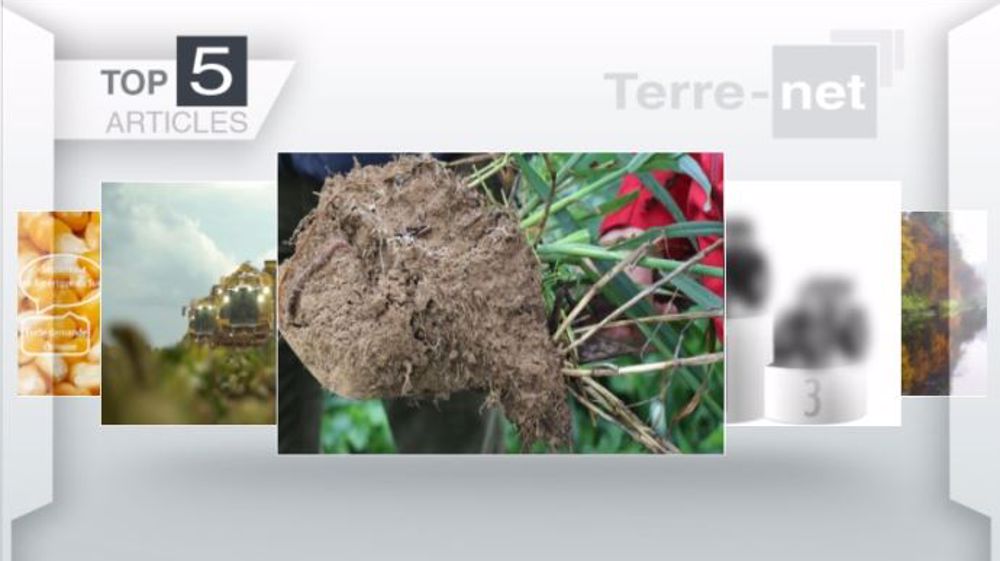 Articles les plus lus sur Terre-net cette semaine. (©Terre-net Média)