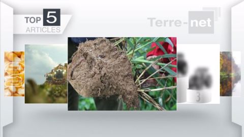 Articles les plus lus sur Terre-net cette semaine. (©Terre-net Média) Articles les plus lus sur Terre-net cette semaine. (©Terre-net Média)