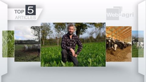 Articles les plus lus sur Web-agri cette semaine. (©Terre-net Média) Articles les plus lus sur Web-agri cette semaine. (©Terre-net Média)