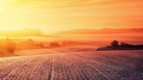 La neige et surtout la pluie compliquent le travail dans les champs