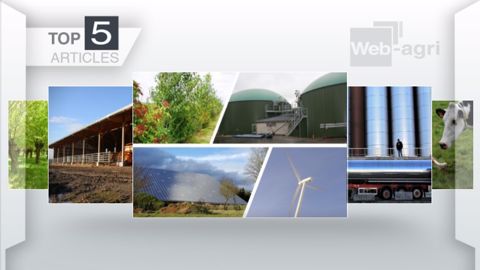 Articles les plus lus sur Web-agri cette semaine. (©Terre-net Média) Articles les plus lus sur Web-agri cette semaine. (©Terre-net Média)