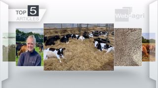 Articles les plus lus sur Web-agri cette semaine. (©Terre-net Média) Articles les plus lus sur Web-agri cette semaine. (©Terre-net Média)